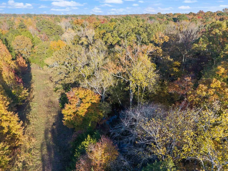 172 Blackfork Road, Greenbrier, AR 72058, Greenbrier, Arkansas, United States. - Photo 6