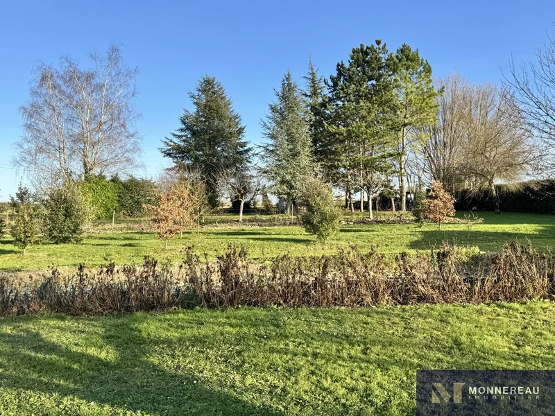 Berneuil, Nouvelle-Aquitaine, France. - Photo 9
