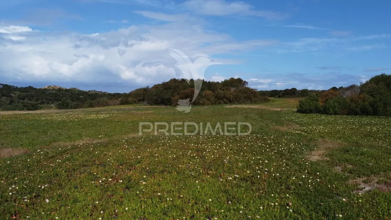 Portugal. - Photo 25