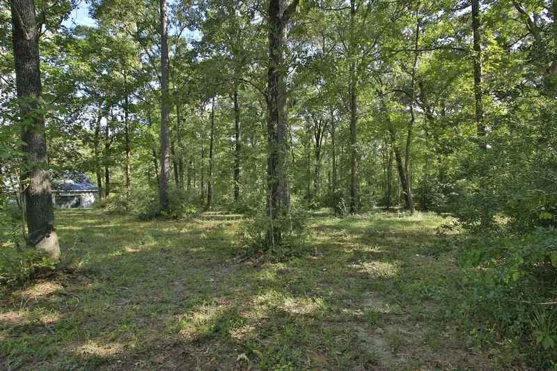 1547 Ruby Drive, Willis, Texas, United States. - Photo 47