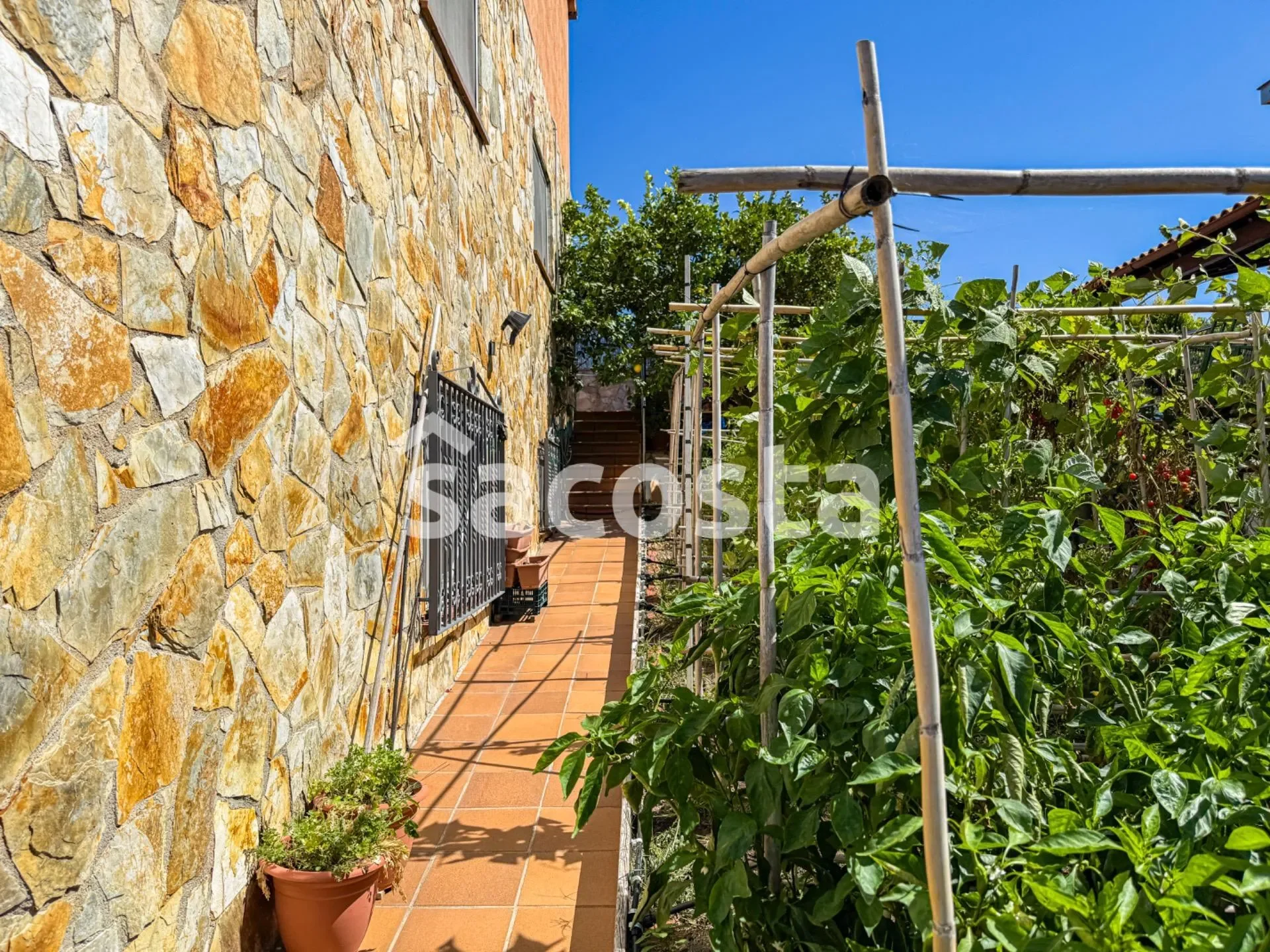 Property photo 12