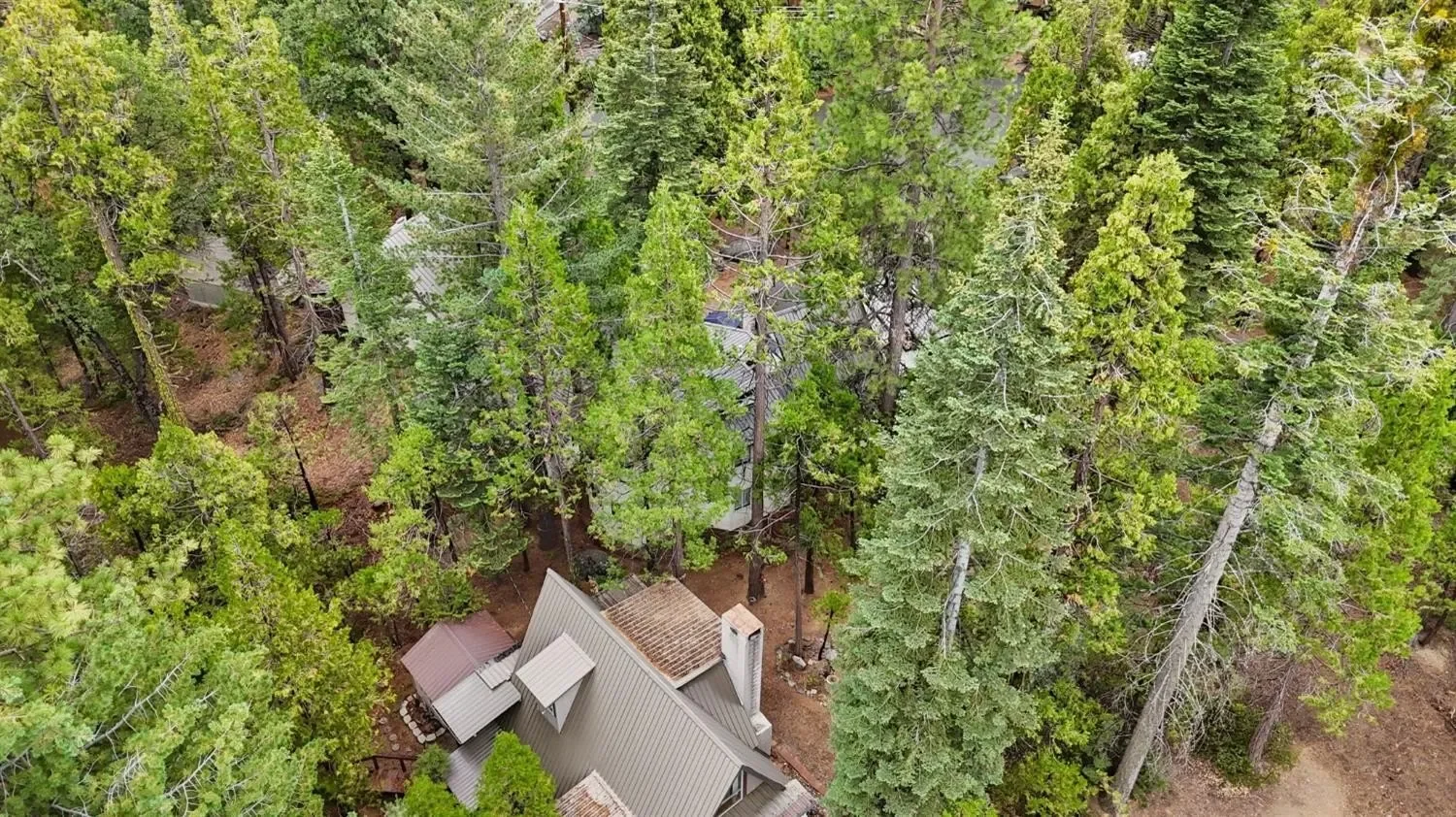 41250 Kokanee Lane, Shaver Lake, CA 93664, Shaver Lake, California, United States. - Photo 38