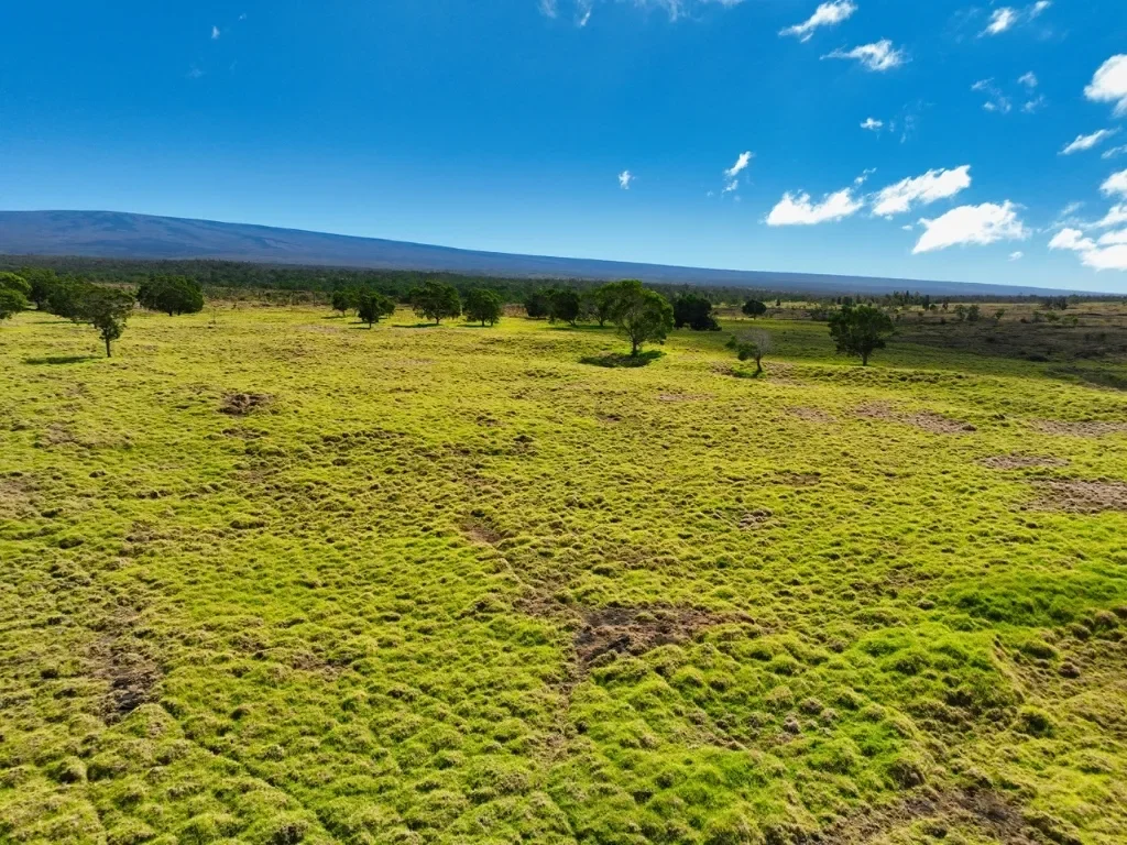 15-A #Hokukano Lot 15A, Kealakekua, HI 96725, Captain Cook, Hawaii, United States. - Photo 4