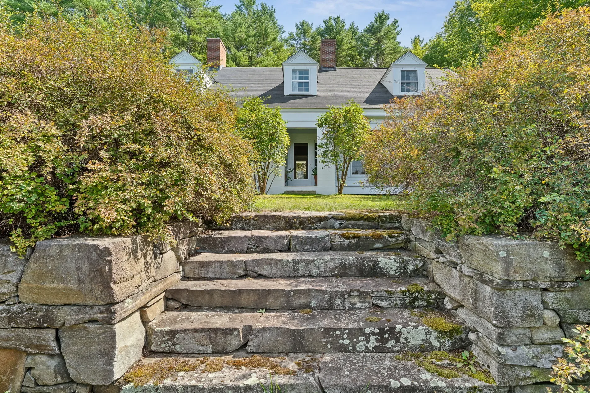 Gallery photo 6