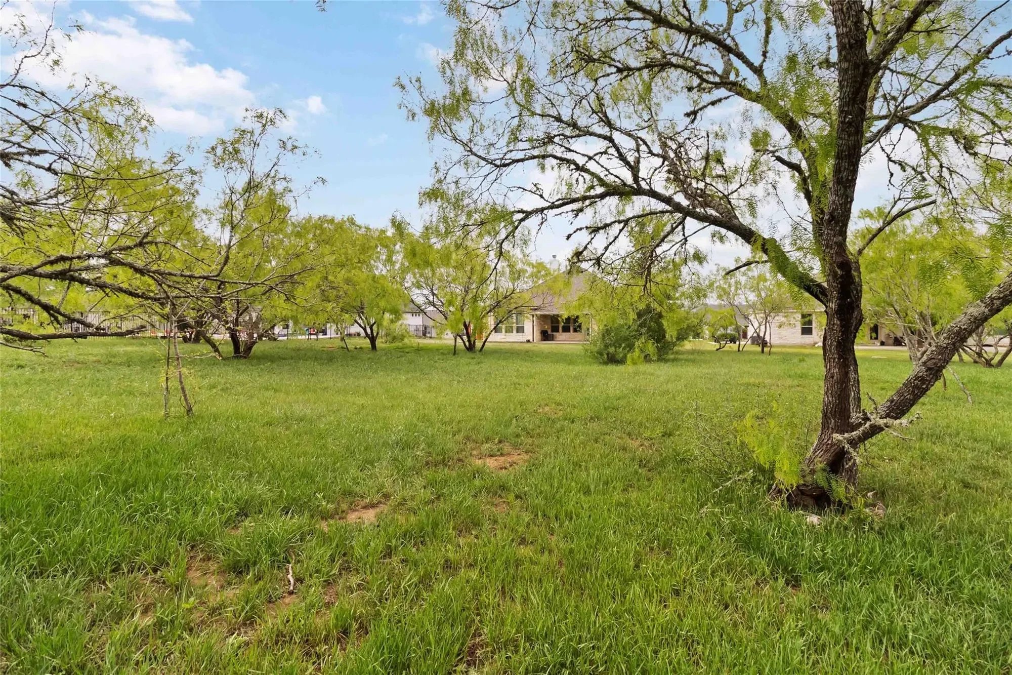110 Buteo ST, Cedar Creek, Texas, United States. - Photo 33