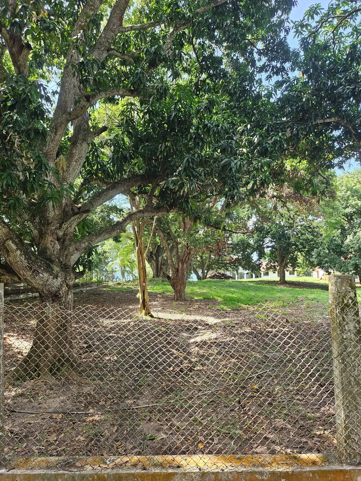 Gallery photo 6