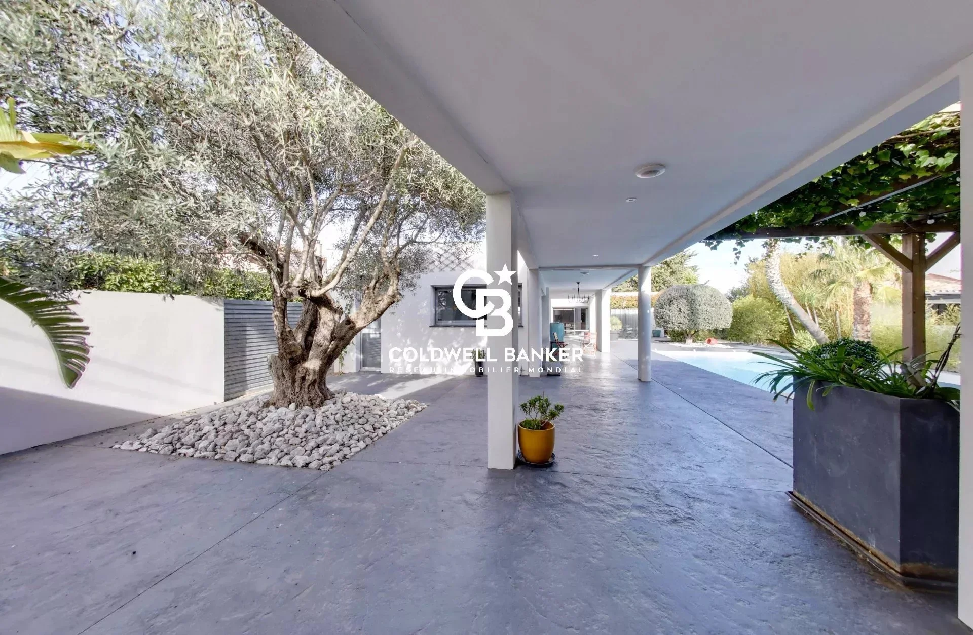 Exterior photo 4