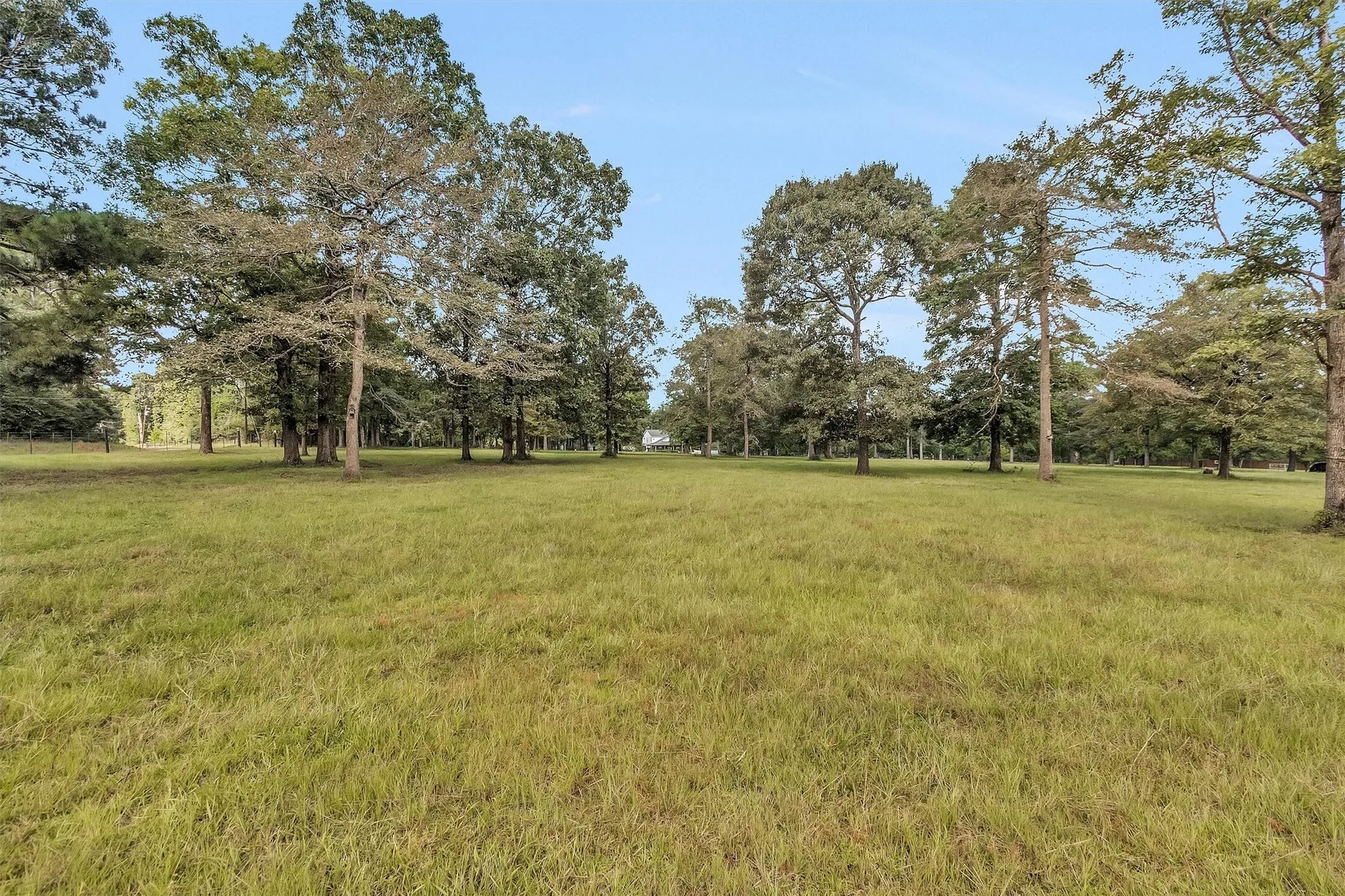 235 Caravella Court, Livingston, TX 77351, Livingston, Texas, United States. - Photo 29