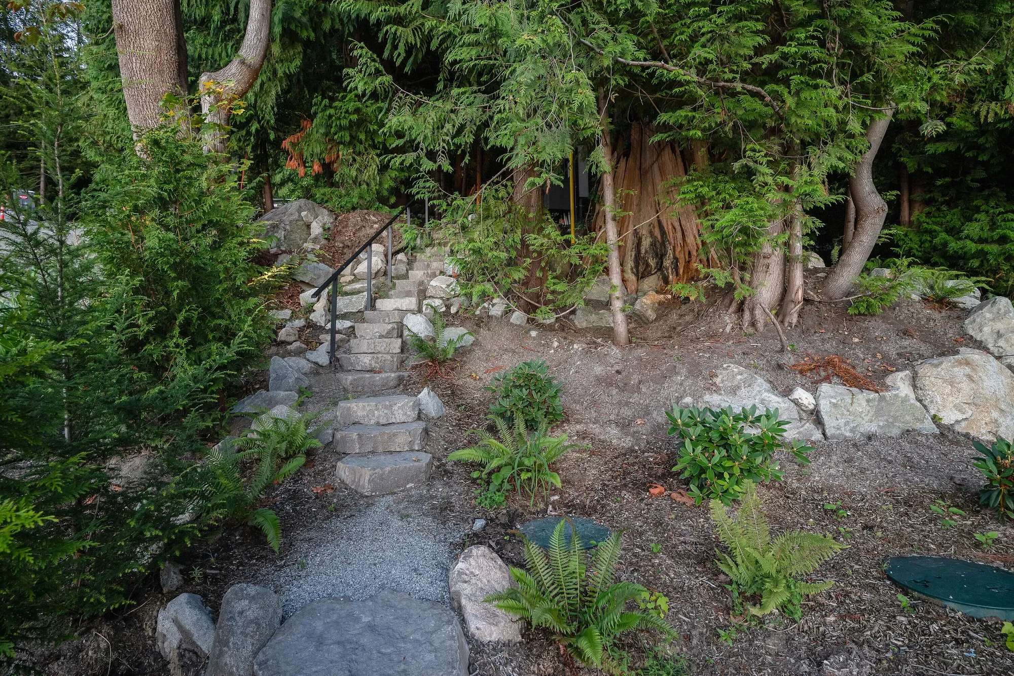 Gallery photo 7