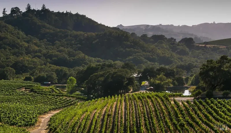 13422 Chalk Hill Road, Healdsburg, California, United States. - Photo 21