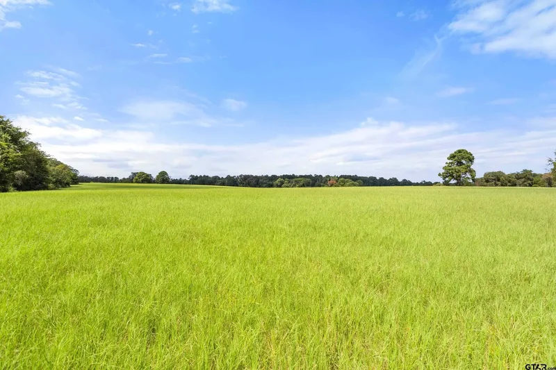 1147 N FM 346, Bullard, TX, 75757, USA, Bullard, Texas, United States. - Photo 8