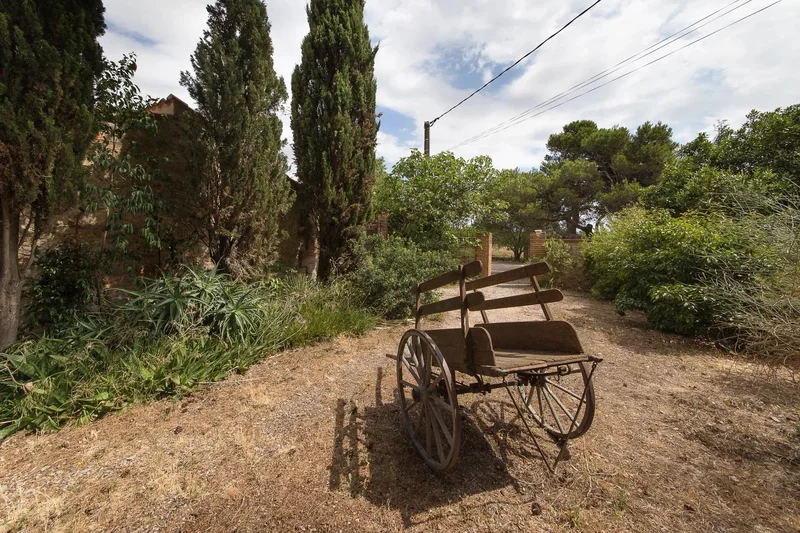 Perpignan, France, Perpignan, Occitanie, France. - Photo 7