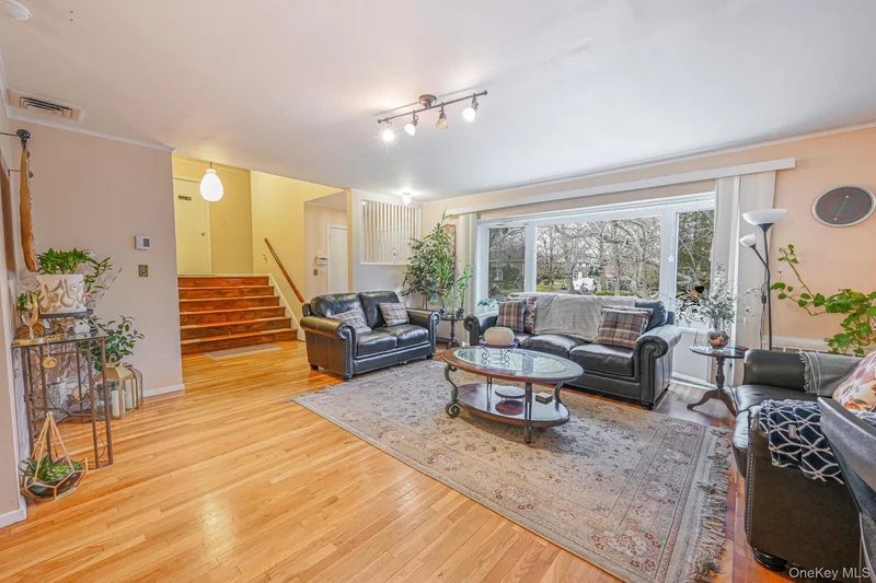 216 Birch Drive, New Hyde Park, NY 11040, New Hyde Park, New York, United States. - Photo 8