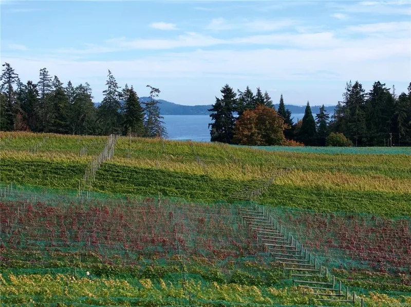Cherry Point Estate Wines