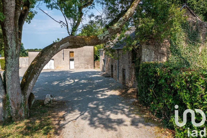 Saint-Mars-du-Désert, Pays de la Loire, France. - Photo 6