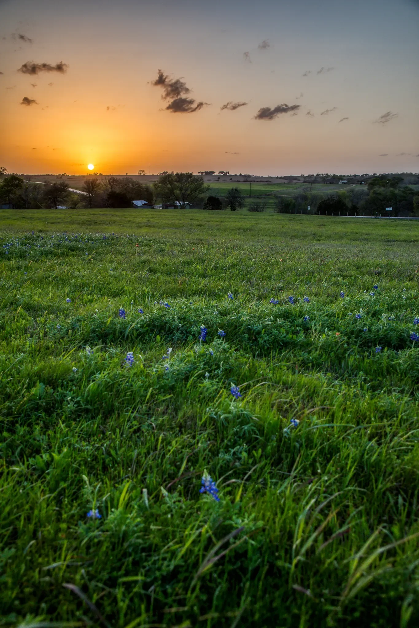 20383 State Highway 159 W , New Ulm, TX 78950-5011, New Ulm, Texas, United States. - Photo 9
