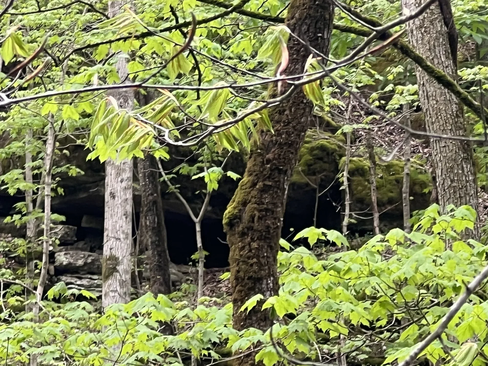 0 Huff Hollow Rd , Granville, TN 38564, Granville, Tennessee, United States. - Photo 19