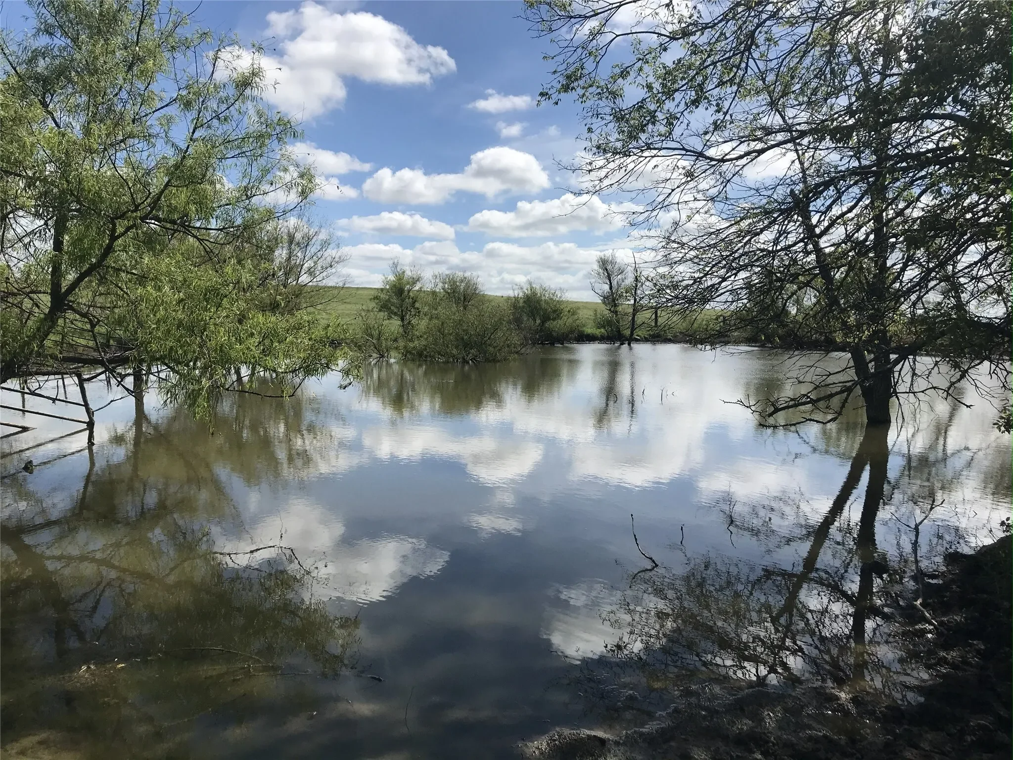 1332 County Road 423, Muenster, TX 76252, Muenster, Texas, United States. - Photo 3