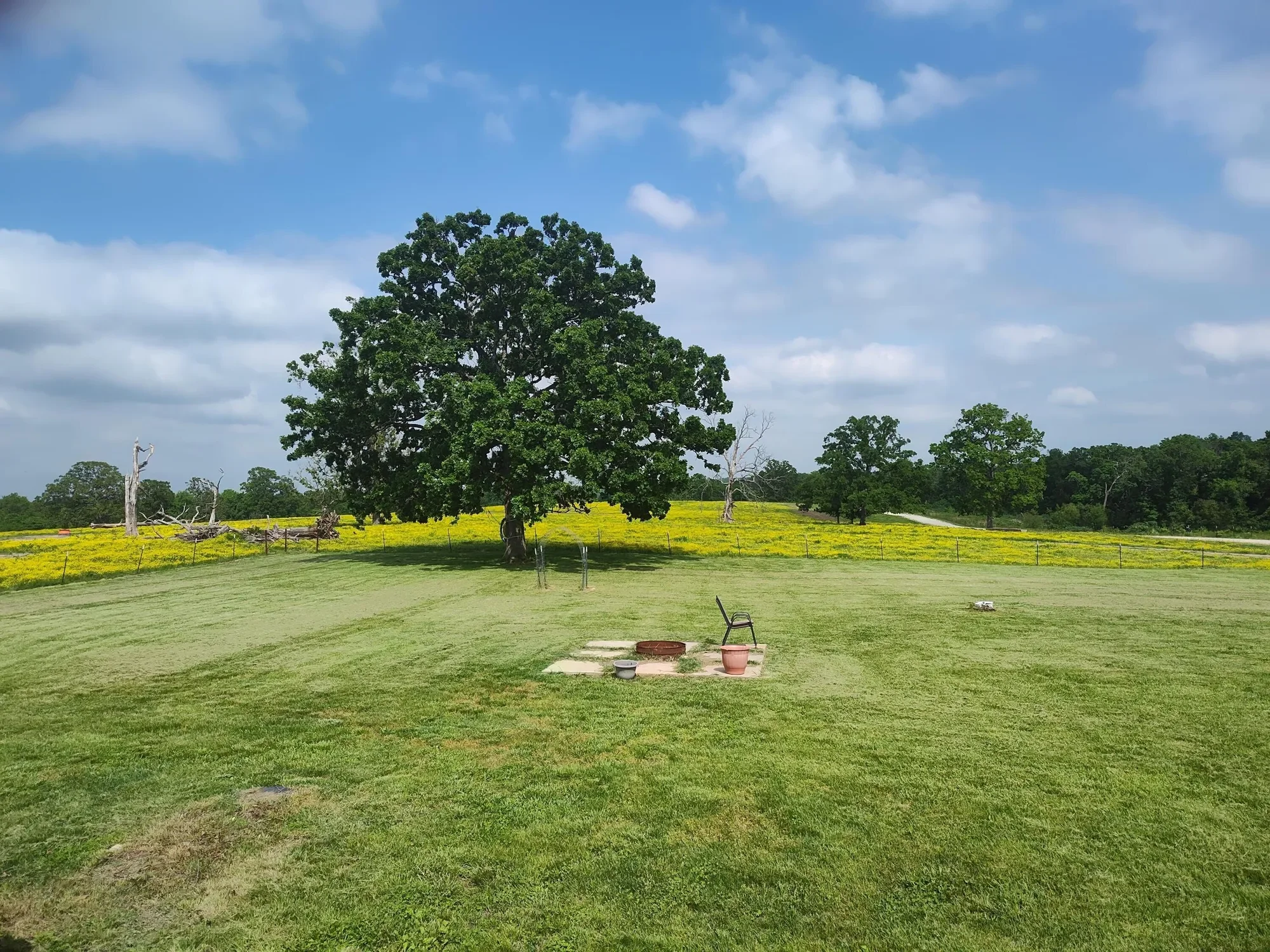 1898 E 332nd Road, Polk, MO 65727, Bolivar, Missouri, United States. - Photo 32