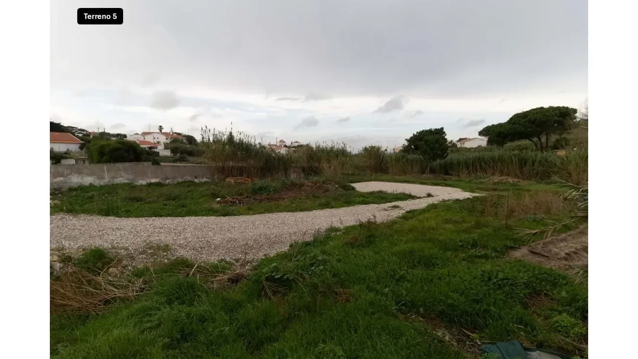 Praia das Maçãs, Lisboa, Colares, Lisbon, Portugal. - Photo 8