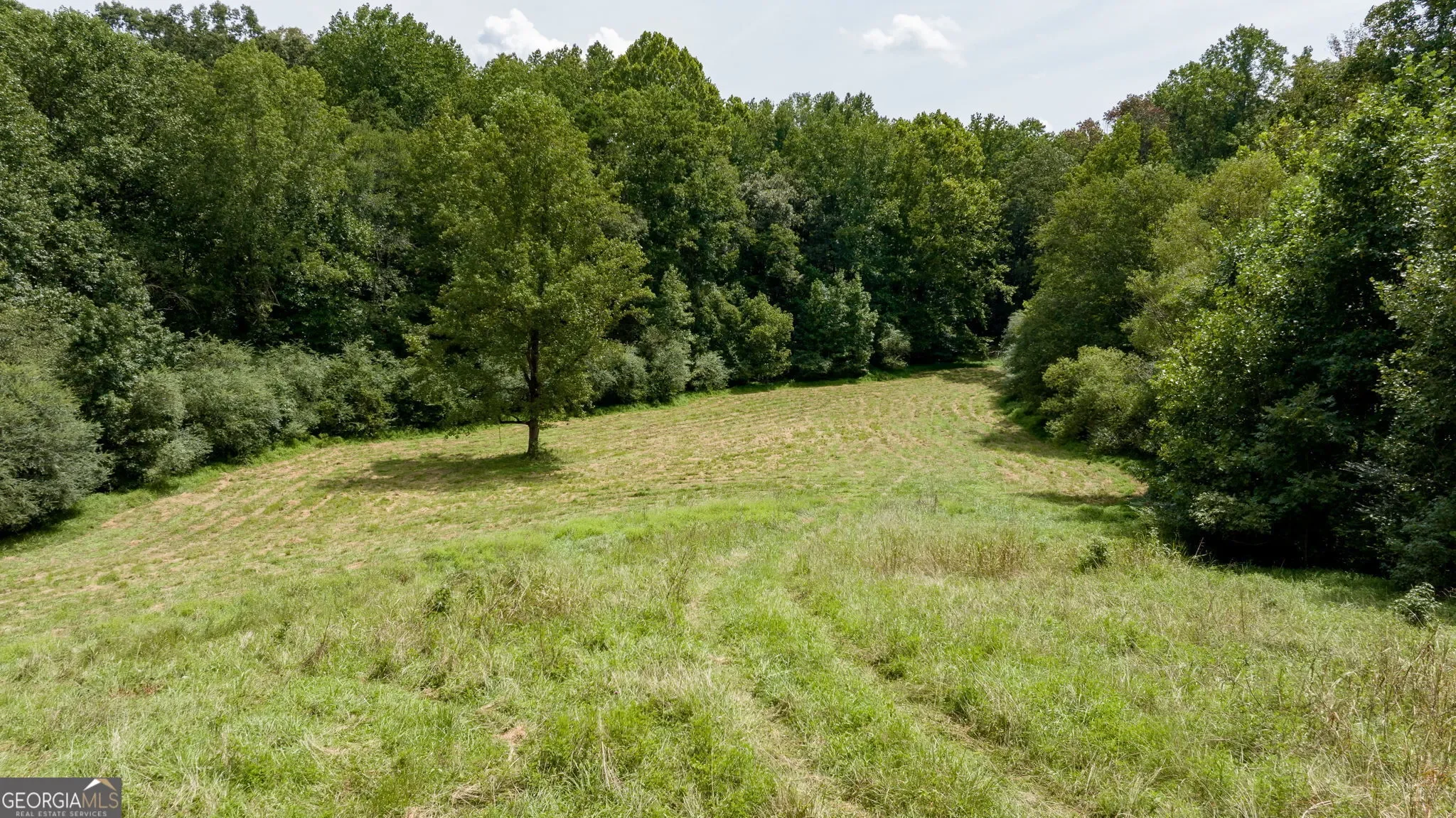Lula, Georgia, United States. - Photo 63