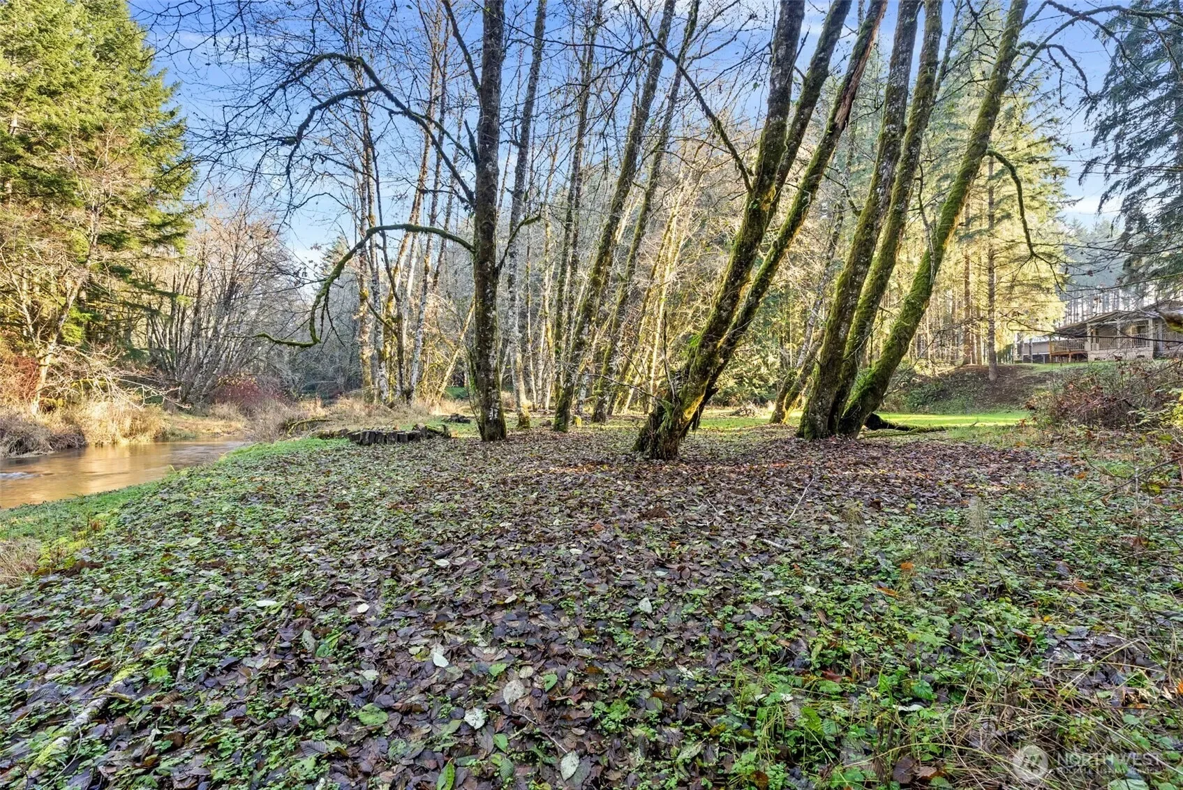 1895 North Fork Road, Chehalis, WA 98532, Chehalis, Washington, United States. - Photo 17