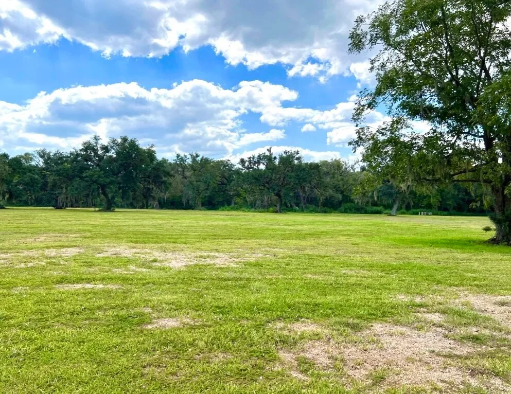 4239 CR 348, Brazoria, TX 77422, Brazoria, Texas, United States. - Photo 10
