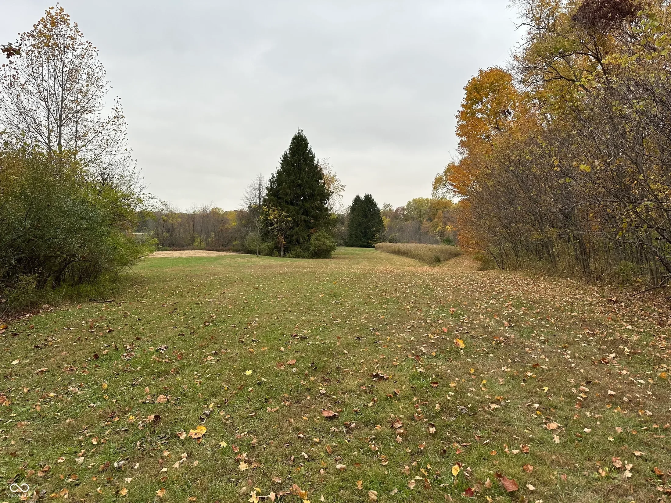 8351 S State Road 39, Clayton, IN 46118, Monrovia, Indiana, United States. - Photo 23