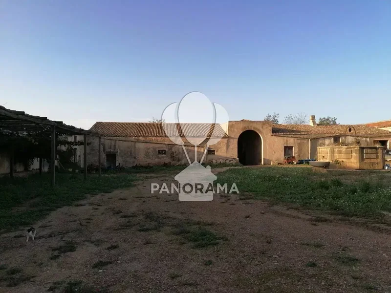 Contrada Fico, Alcamo, Sicily, Italy. - Photo 10