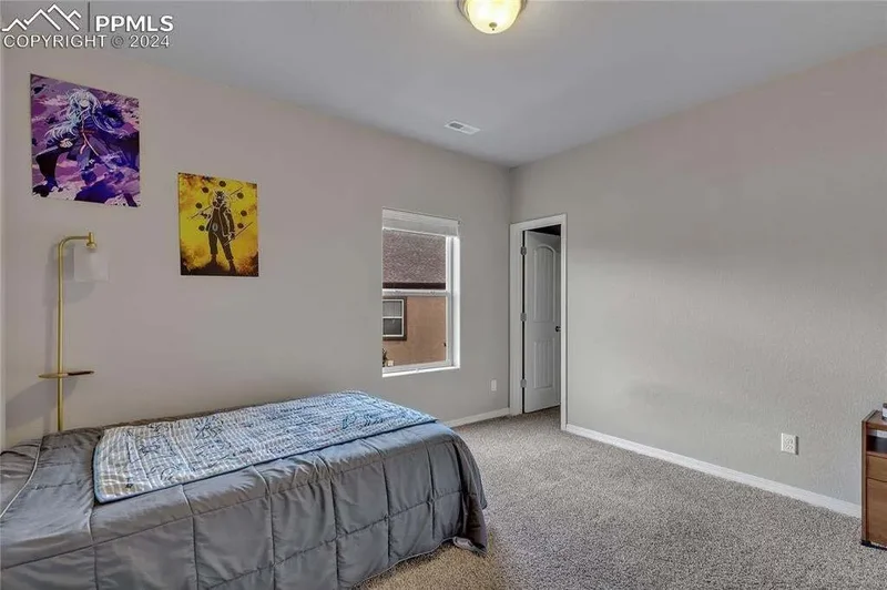 19631 Still River Court, Monument, CO 80132, Monument, Colorado, United States. - Photo 47