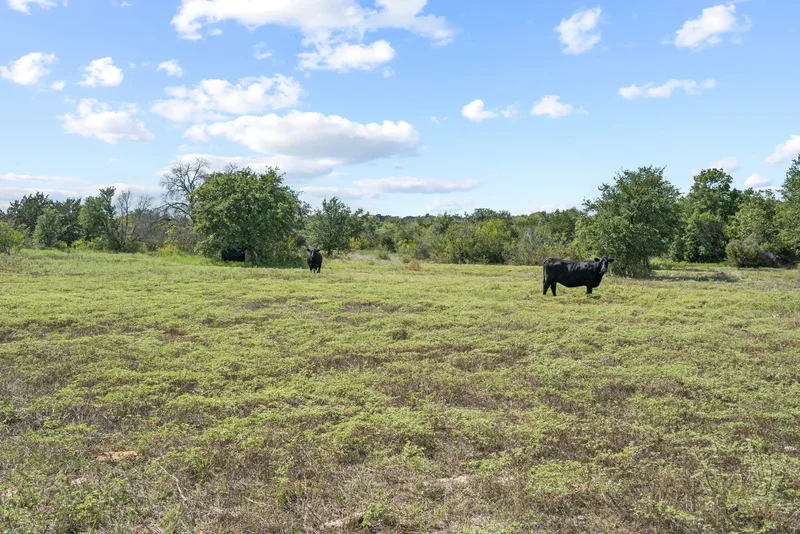 TBD Comanche Cr 343 #97, Dublin, TX 76446, Dublin, Texas, United States. - Photo 37