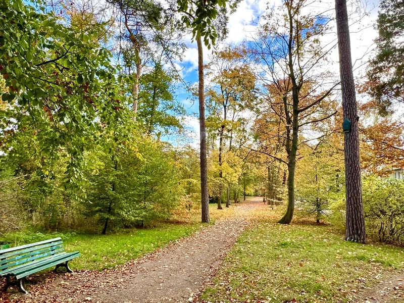 Berlin, Berlin, Germany. - Photo 16
