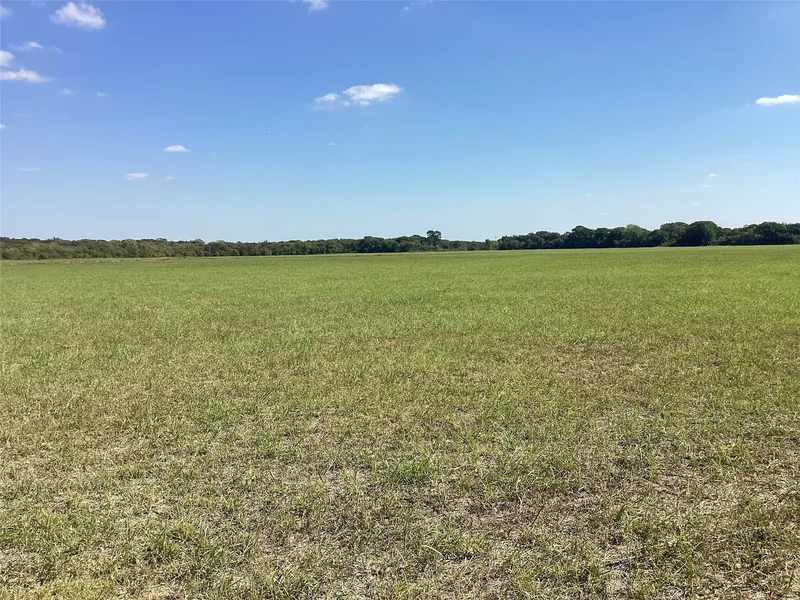 Tbd SW CR 3160, Dawson, TX 76639, Hubbard, Texas, United States. - Photo 11
