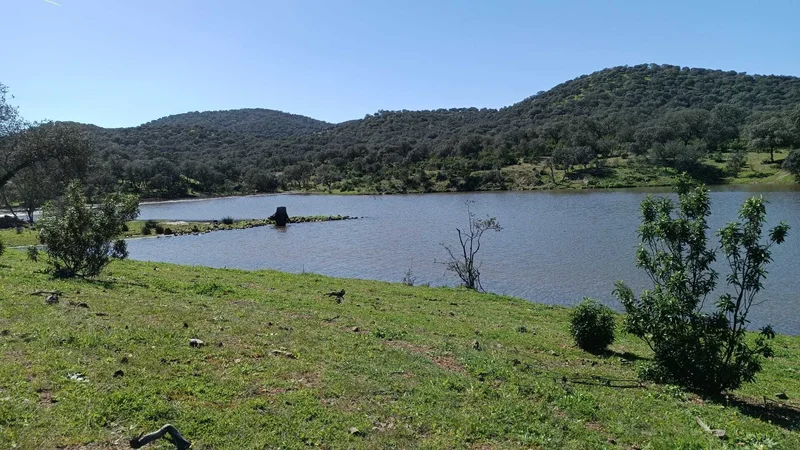 41370 Cazalla de la Sierra, Seville, Spain, Cazalla de la Sierra, Andalusia, Spain. - Photo 22