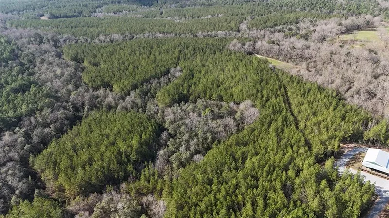 1773 RIDGE Road, Perkinston, MS 39573, Carriere, Mississippi, United States. - Photo 29