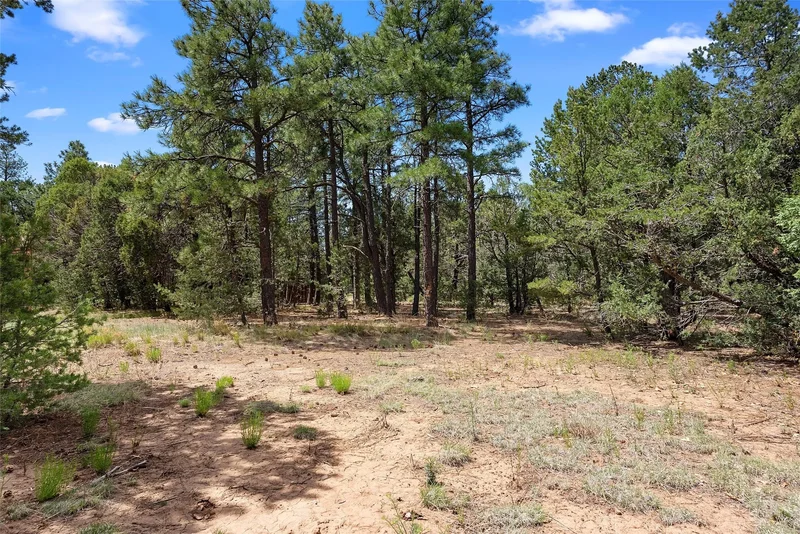 20 Hummingbird, Tijeras, NM 87059, Tijeras, New Mexico, United States. - Photo 99