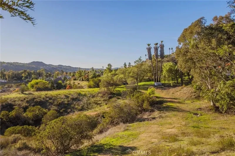 31331 Rancho Amigos, Bonsall, California, United States. - Photo 57