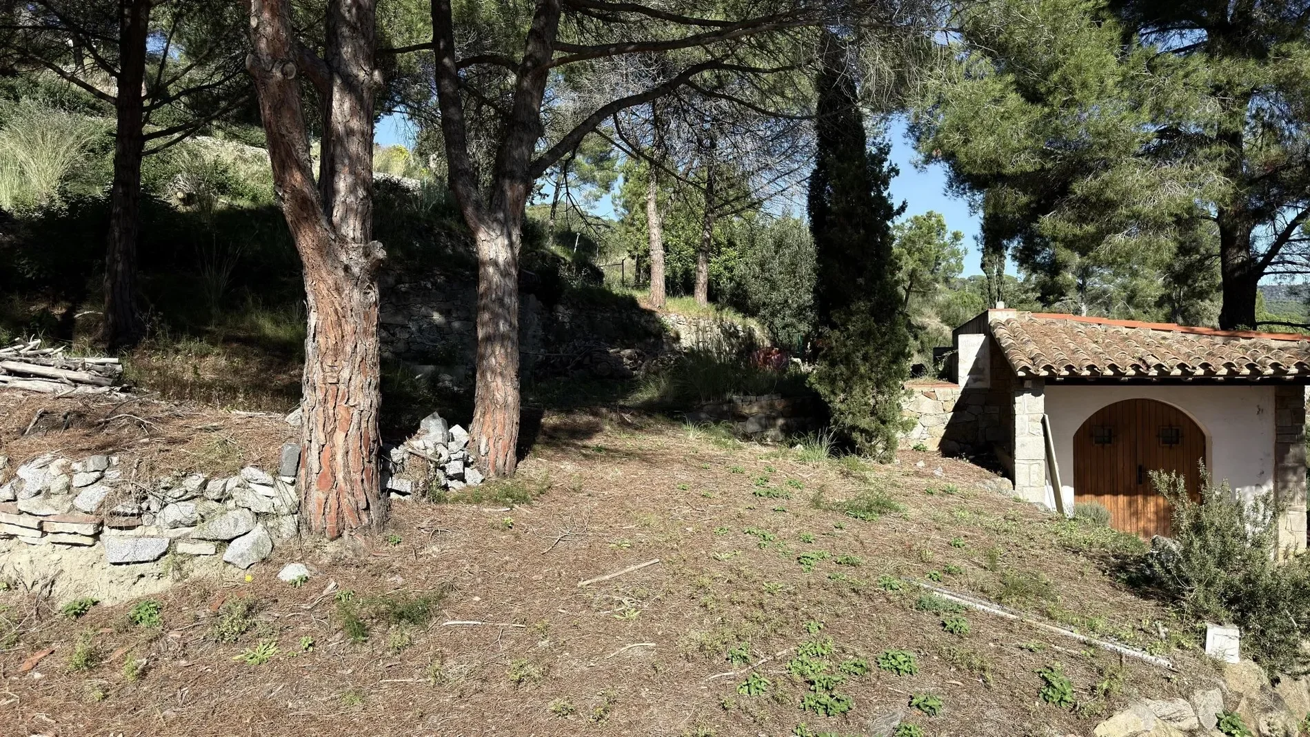 Premia de Dalt, Catalonia, Spain. - Photo 24