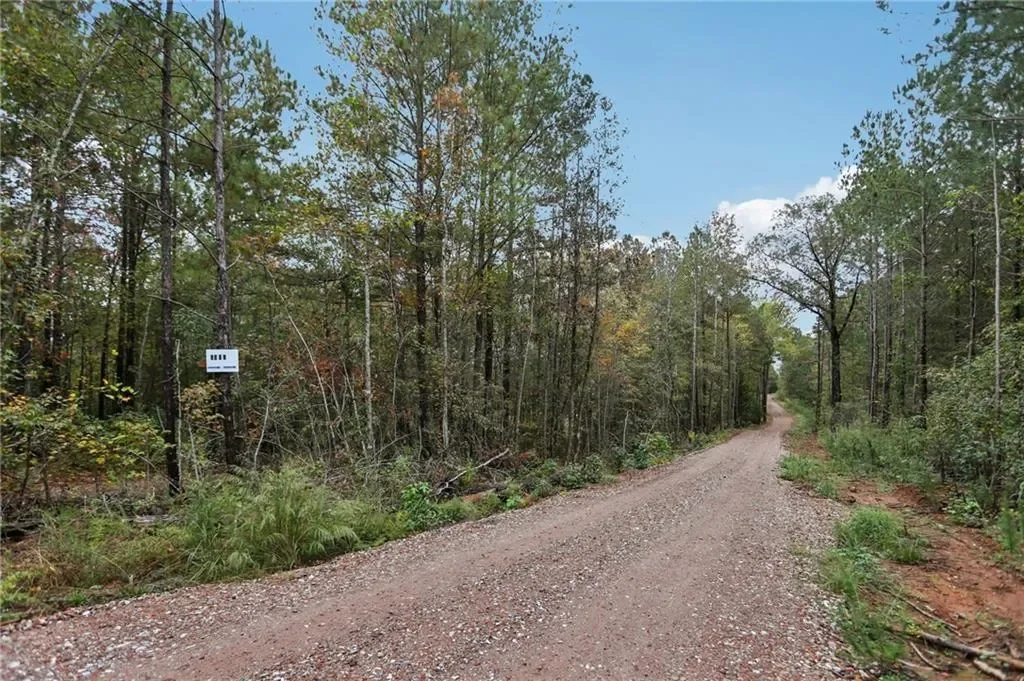 5467 Highway 162 S, Covington, Georgia, United States. - Photo 9