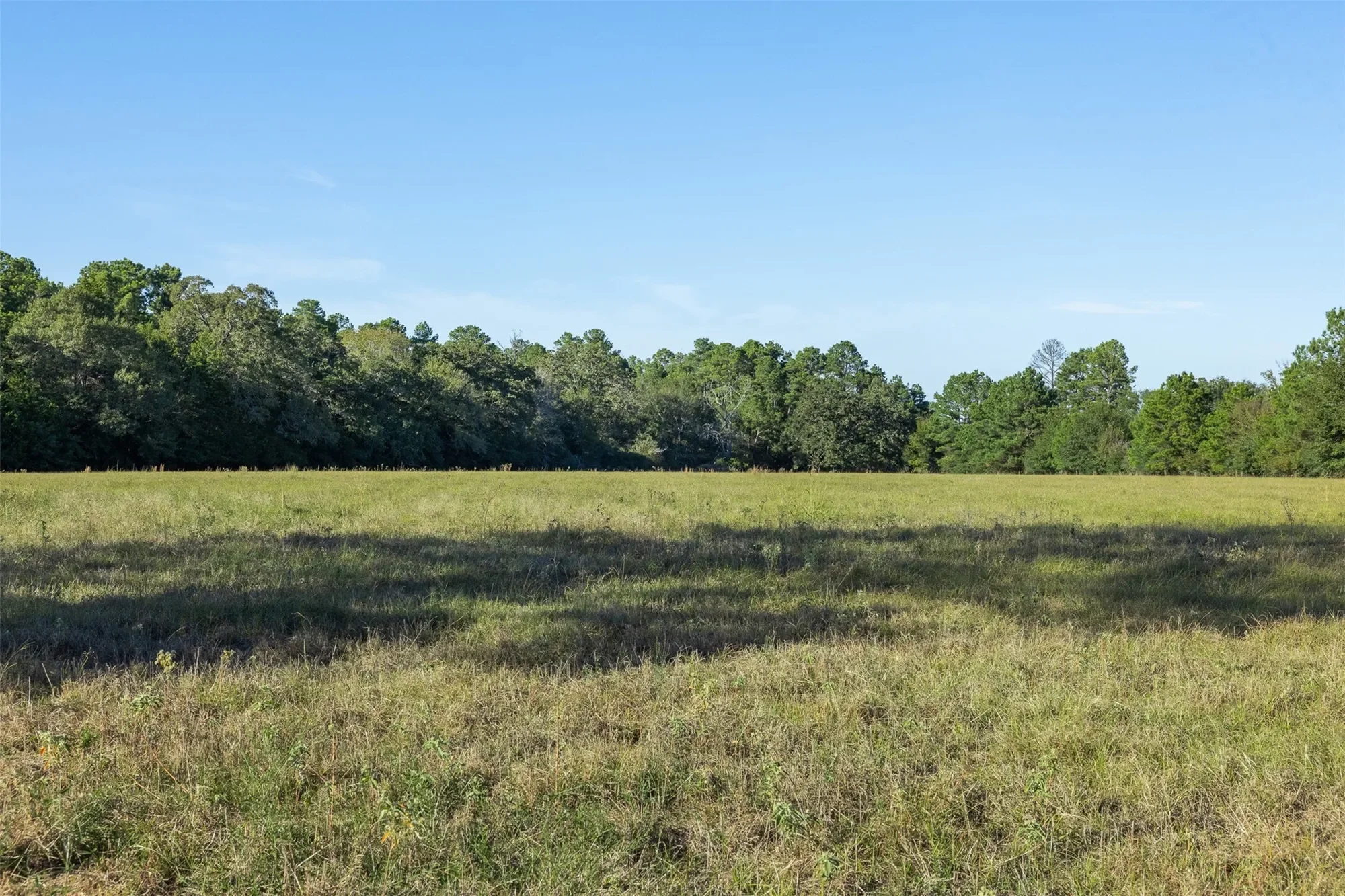 16121 Fm 2620 Road, Bedias, TX 77831, 77831, Texas, United States. - Photo 16