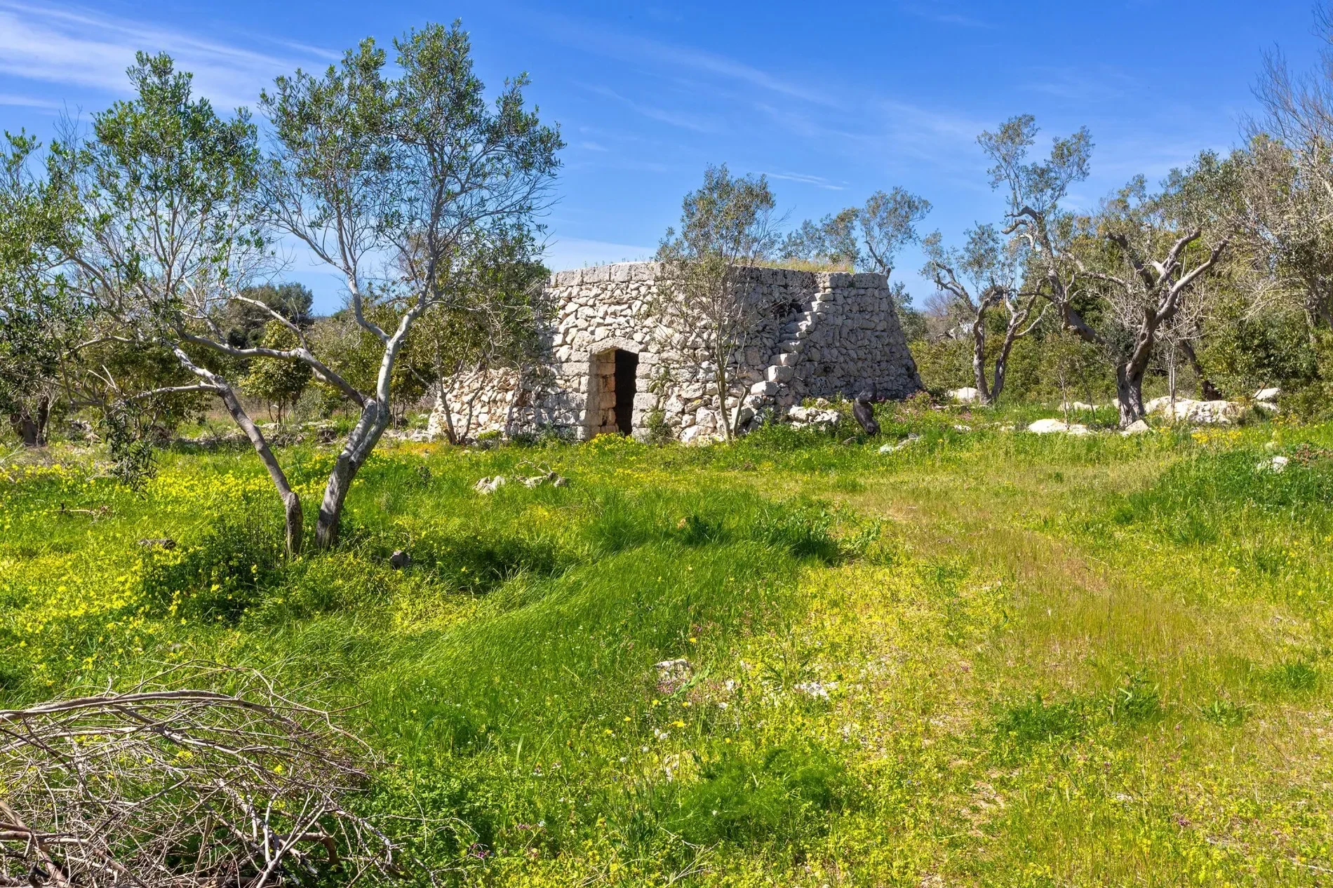 Exterior photo 10