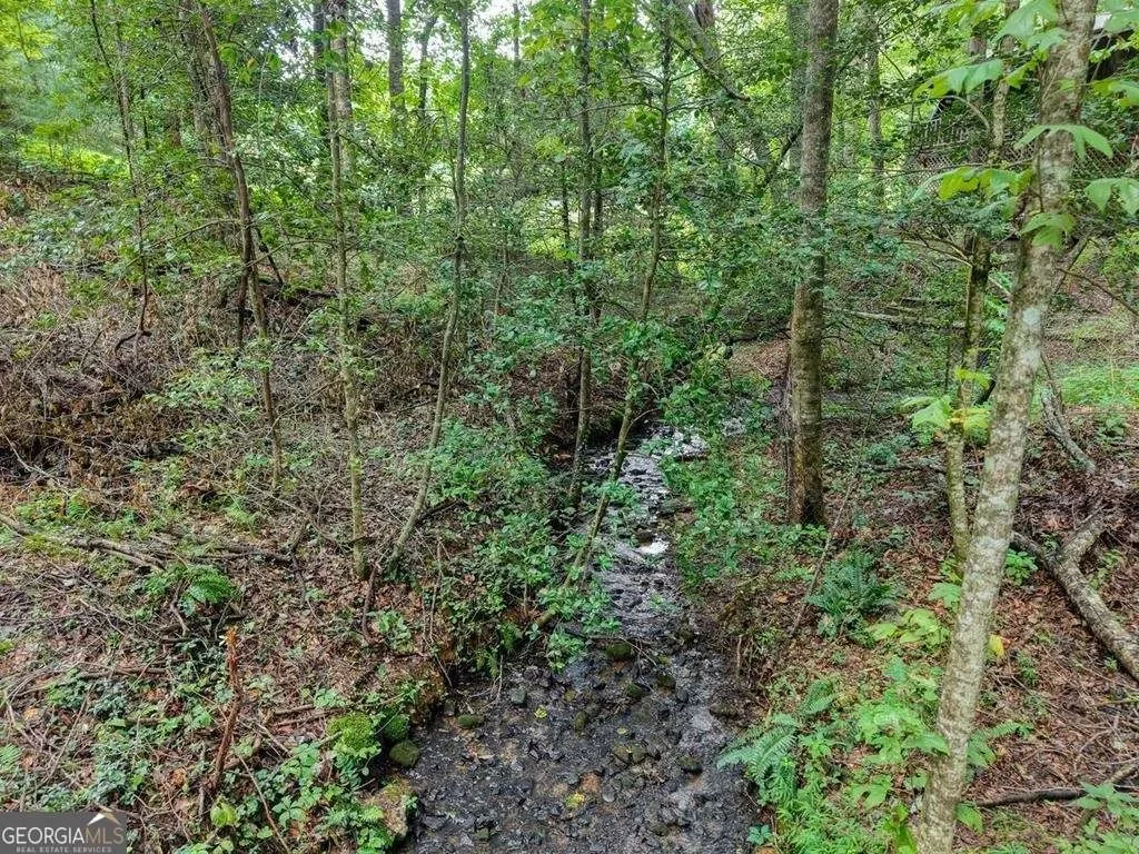 2479 Plum Orchard RD, Clayton, Georgia, United States. - Photo 5