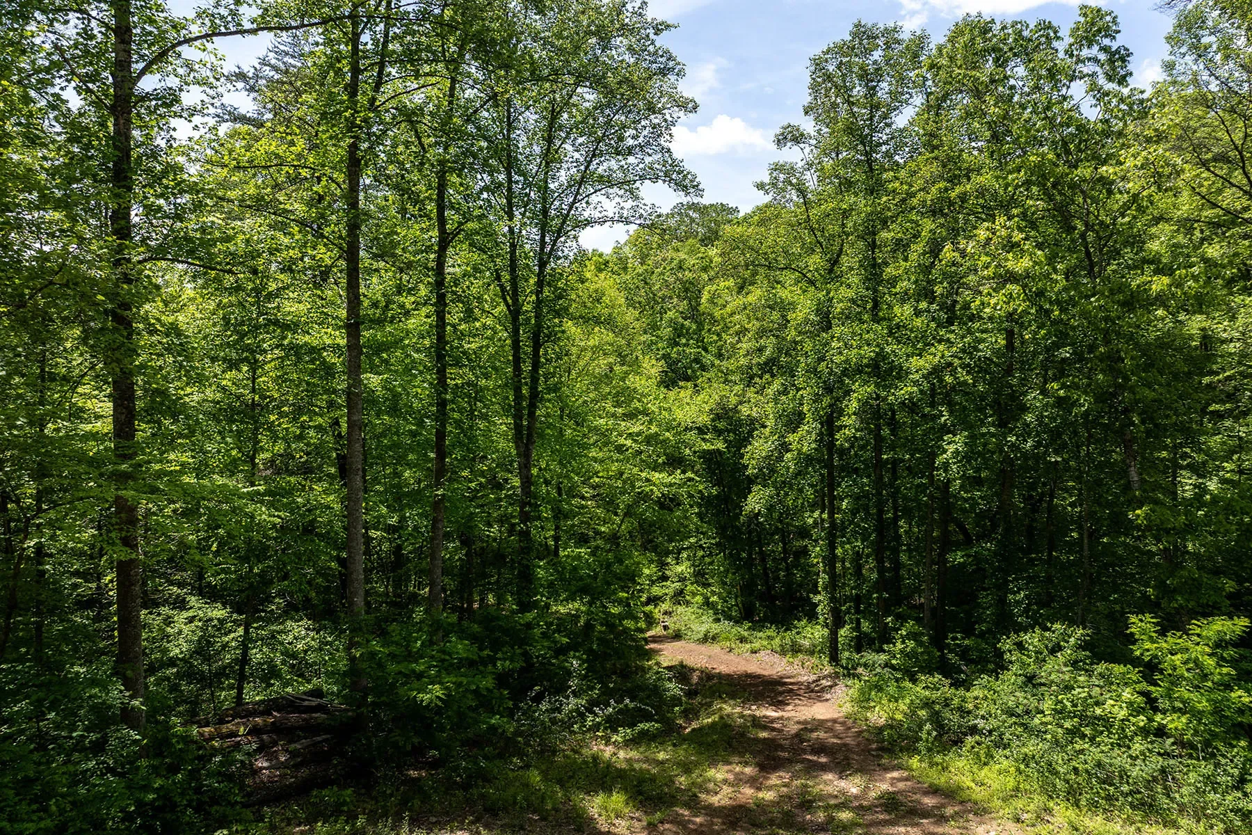 444 Woodring Cemetery Road, Tuckasegee, NC 28783, 28783, North Carolina, United States. - Photo 17