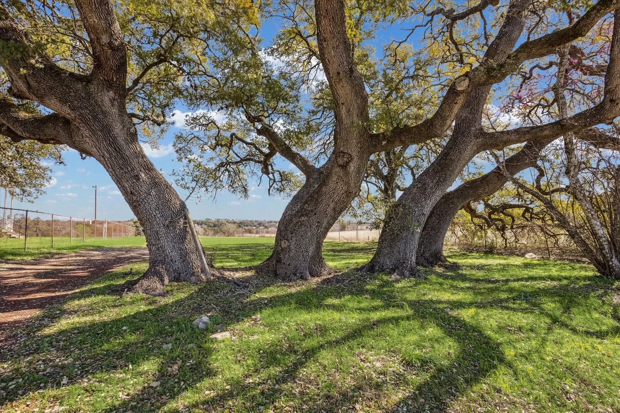 1118 Fm 1697, Burton, TX 77835, Burton, Texas, United States. - Photo 13