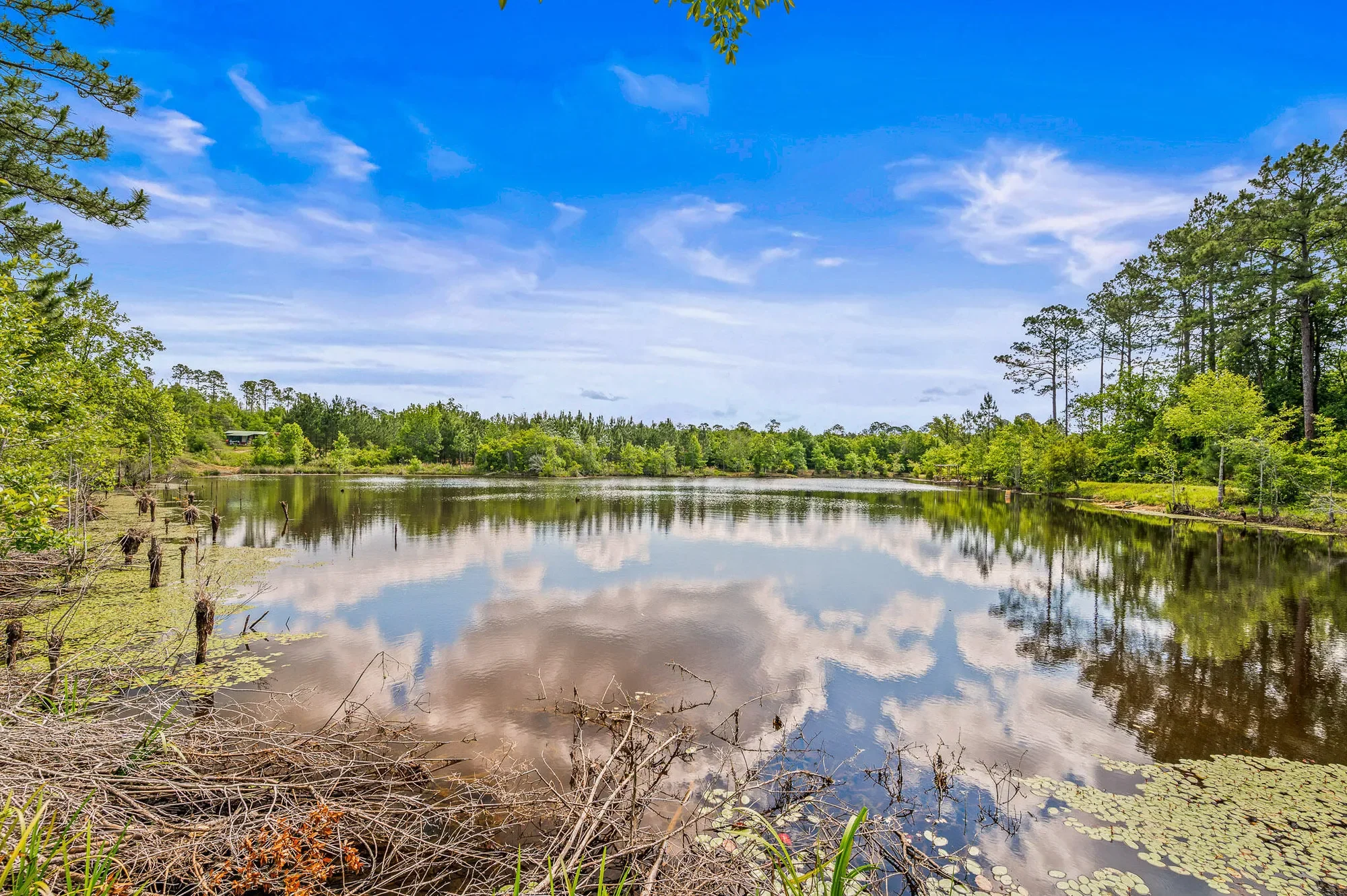 5105 Pasco Broxson Circle, Holt, FL 32564, Holt, Florida, United States. - Photo 25