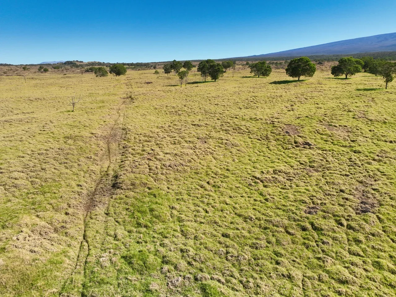 15-B #Hokukano Lot 15B, Kealakekua, HI 96725, Captain Cook, Hawaii, United States. - Photo 12