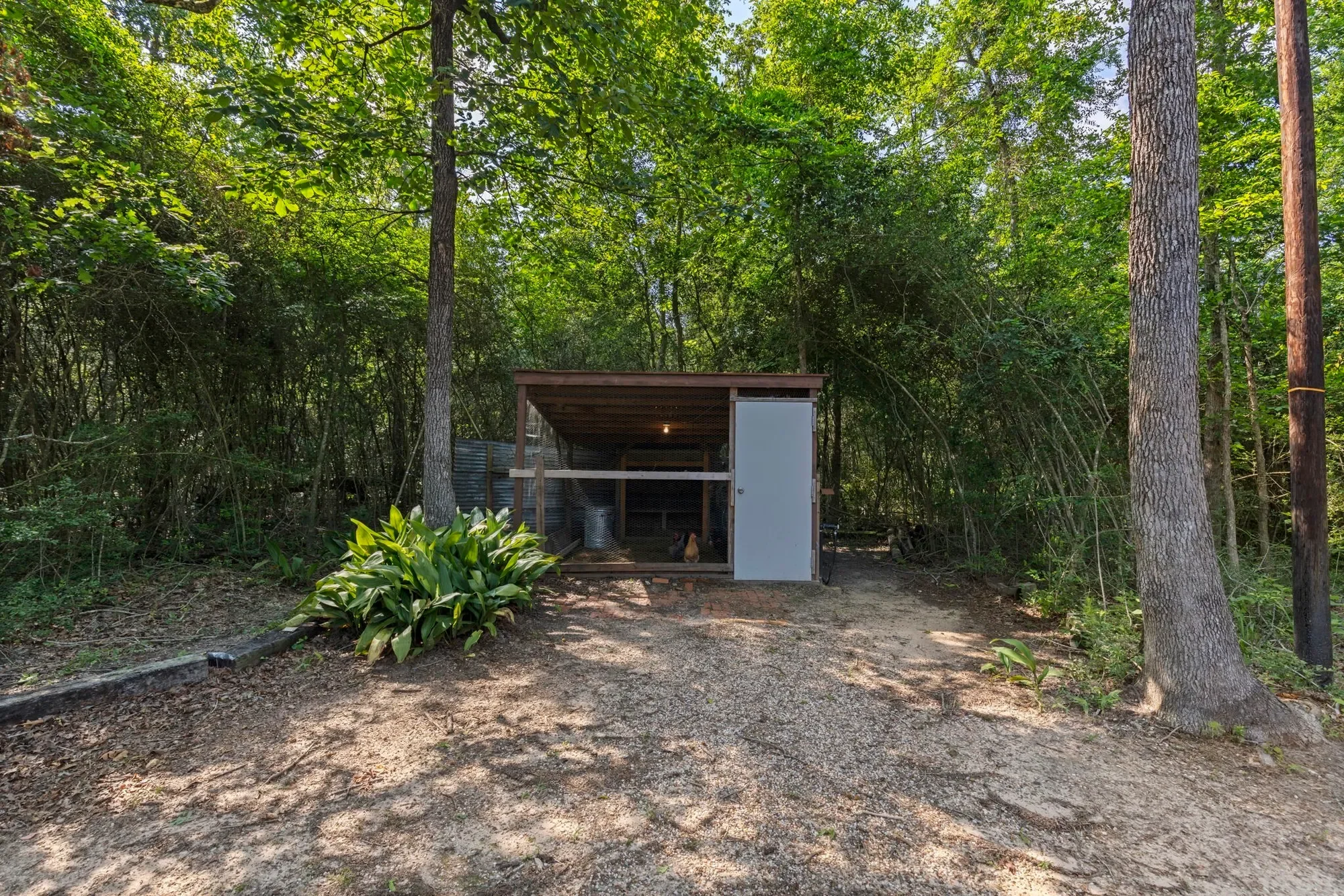 17131 Carrol Lane, Willis, TX 77378, Willis, Texas, United States. - Photo 23
