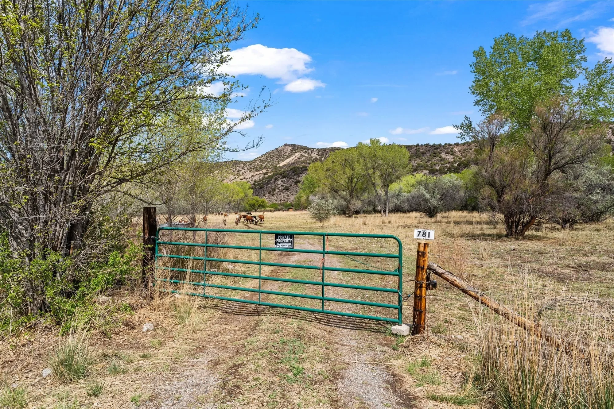 781 County Road 57 , Lyden, NM 87582, Velarde, New Mexico, United States. - Photo 2