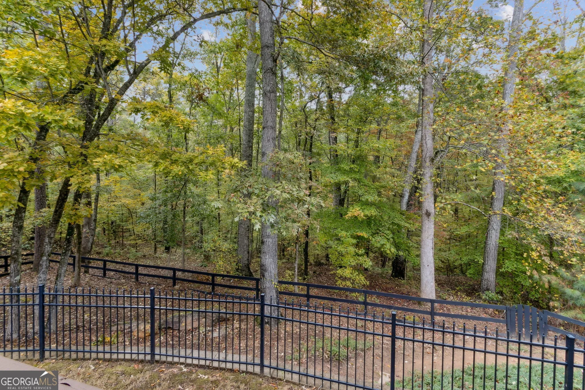 Acworth, Georgia, United States. - Photo 6