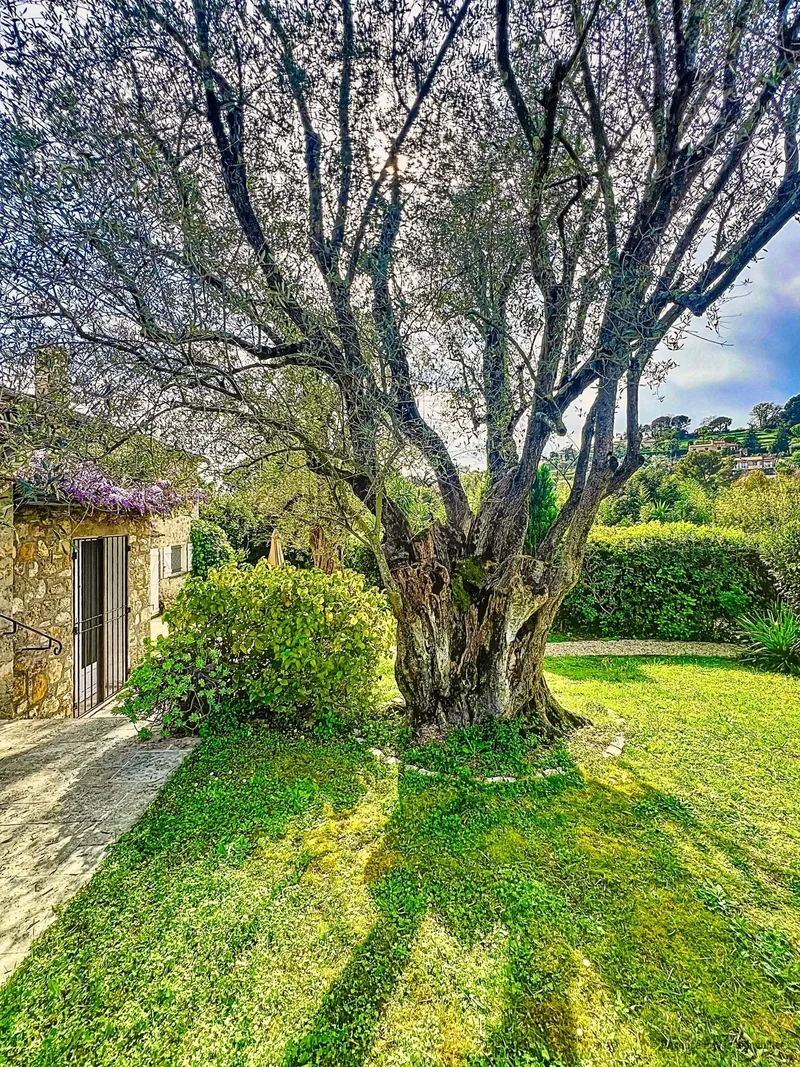 Mougins, Provence-Alpes-Côte d'Azur, France. - Photo 37
